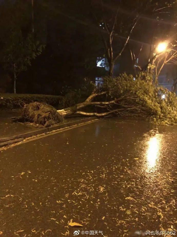 办公室装修设计电话_办公软件_办公