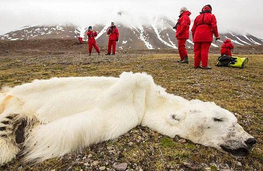 粮食作物油料作物_粮油作物_粮油兼用作物