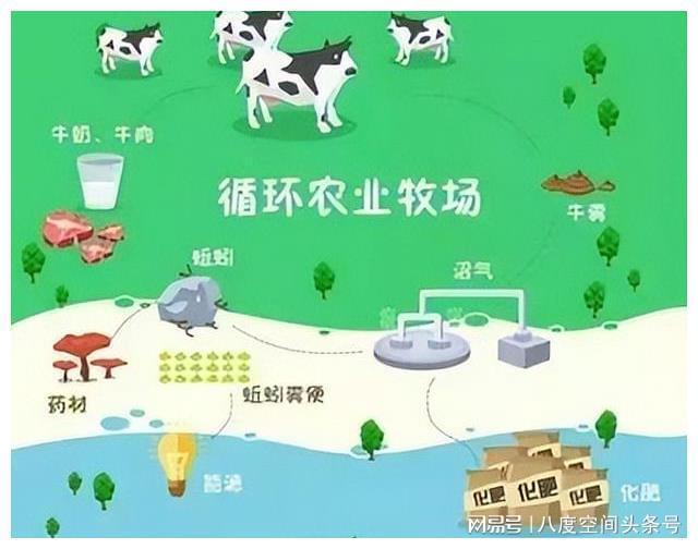 养殖畜禽种类填什么_养殖畜禽的注意事项_畜禽养殖