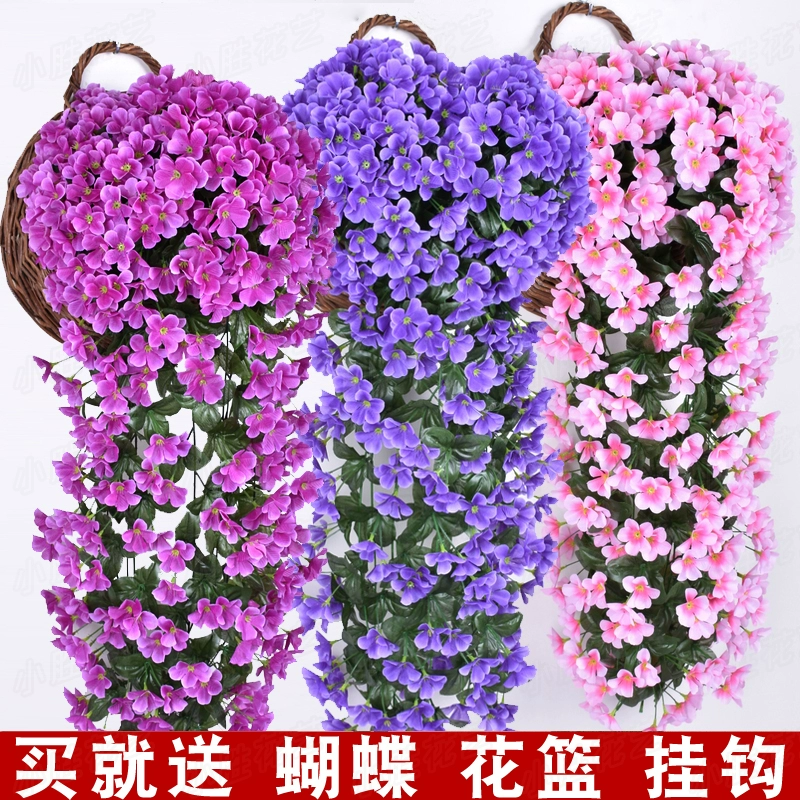 风水上卧室适合放什么花草，室内植物摆放风水禁忌