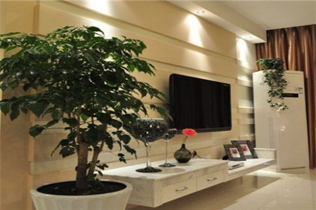 卧室的风水植物摆放禁忌,你知道吗?!!(图2) 提高孩子成绩风水植物_植物风水_适合放在办公室的风水植物