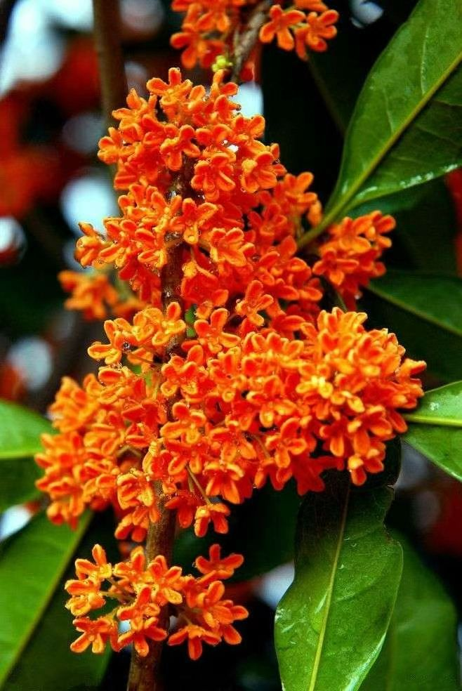 三千年读史，不名利禄，终归诗酒田园