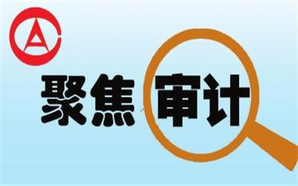 审计师事务所_审计是干嘛的_审计