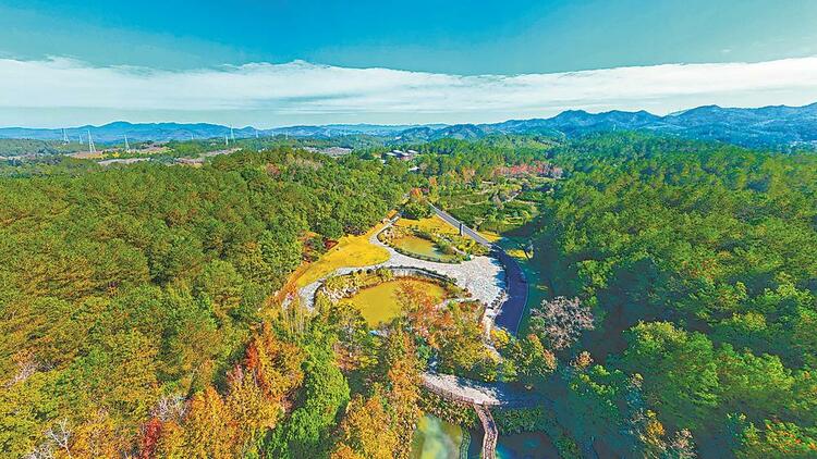 运输交通英语_交通运输_运输交通管理局电话