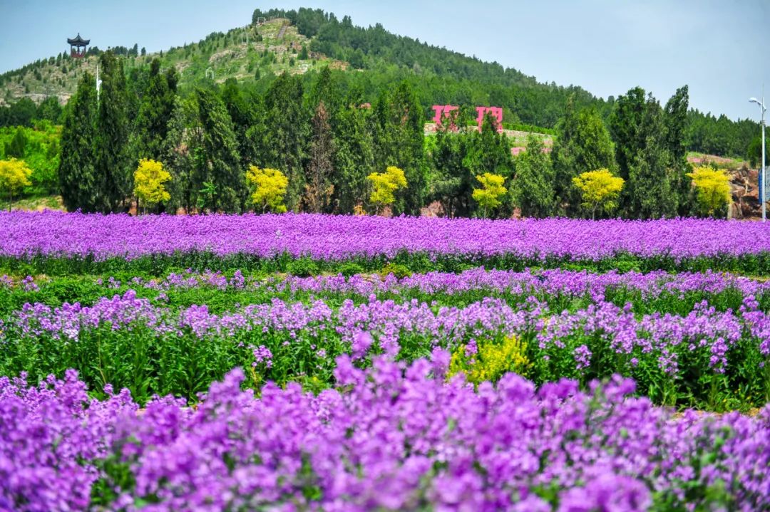 毕节市10大风景区，你去过哪一个？