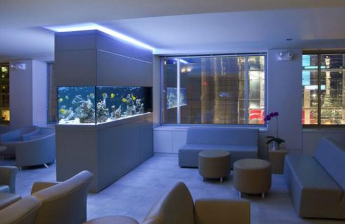 慈世堂：阳台上的十大风水植物讲究阳台布置风水