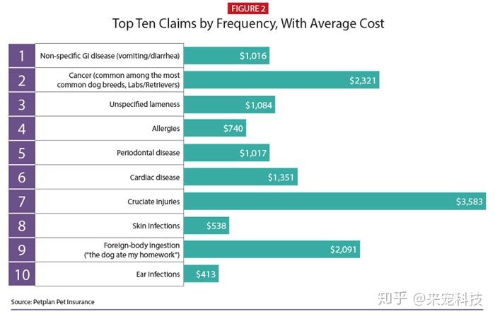 宠物看病贵问题困扰众多“铲屎官”，宠物医疗市场具有想象空间