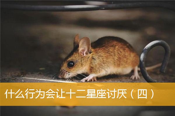 十二星座里谁会为了一口气吃大亏呢?(图3) 12星座的星座秘语_星座运势_星座: