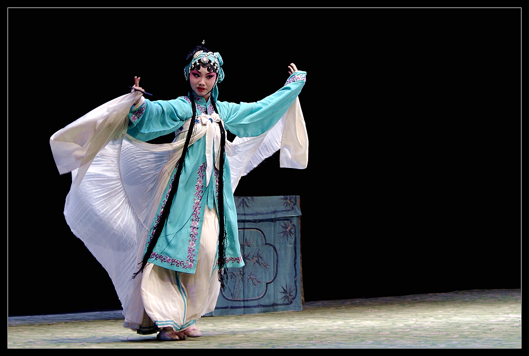 首届“校园杯”全国职业院校宠物美容技能大赛火热开启(图2) 美容宠物游戏_宠物美容_美容宠物店