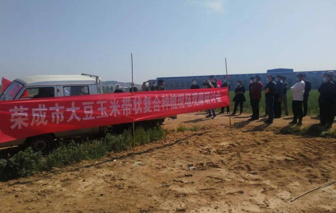 粮油作物原料_粮油作物_粮食作物