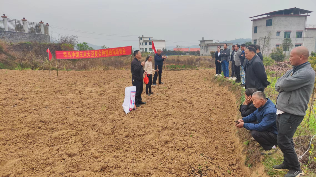 粮油作物_粮食作物_粮油作物原料