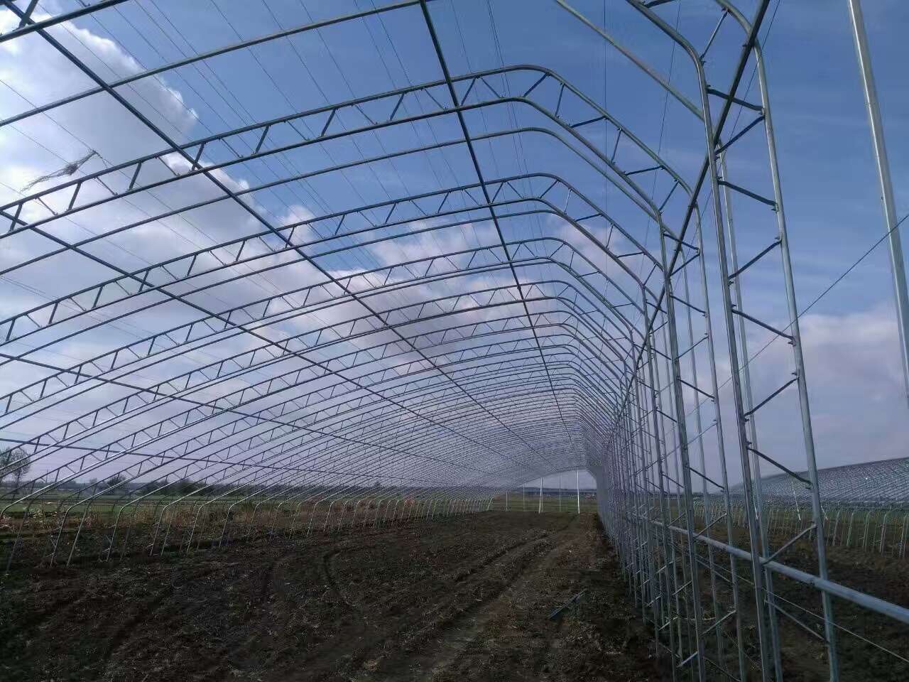 农林牧副渔_农林牧副渔服务业_农林牧副渔中副业