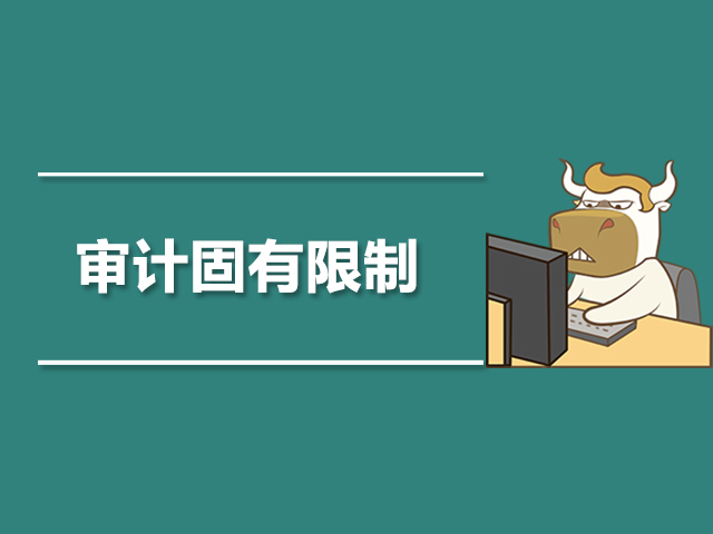 审计_审计师事务所_审计是干嘛的