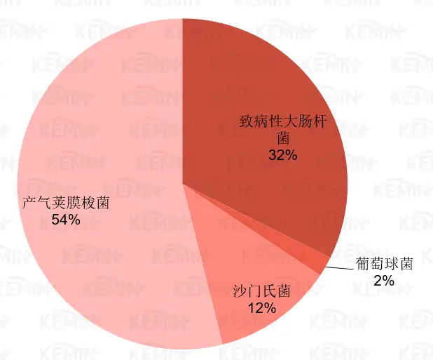 饲料“禁抗”时代养殖不用任何种类抗生素