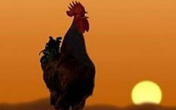 周公解梦：_解梦周公免费_解梦周公解梦大全七星彩