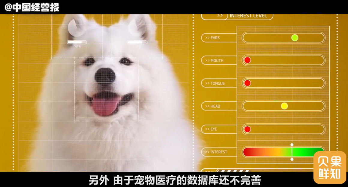 究竟是人看病贵,还是宠物看病还贵呢?(图2) 宠物医院_宠物医院投资大概多少_宠物医院加盟