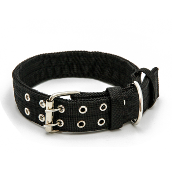 这只带着脖圈的宠物狗躺在小区门口瑟瑟发抖(图2) 宠物医院加盟大概要多少钱_宠物医院_宠物医院需要什么资质