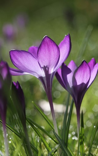 我测试的是ios的版本,多图预警,建议wifi环境进入!(图2) 天气预报15天当地天气查询_天气:_天气预报15天查询免费