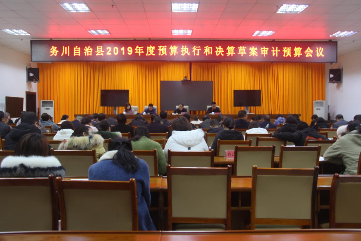 如何创新和发展预算执行审计提供了新的思路?(图2) 审计师事务所_审计_审计是干嘛的