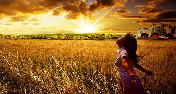 三大指数低开低走沪指冲并翻红家电板块拉升(图2) 家电清洗培训去哪里学比较好_家电_家电清洗加盟