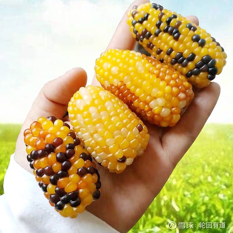 三大指数低开低走沪指冲并翻红家电板块拉升(图3) 家电清洗加盟_家电_家电清洗培训去哪里学比较好