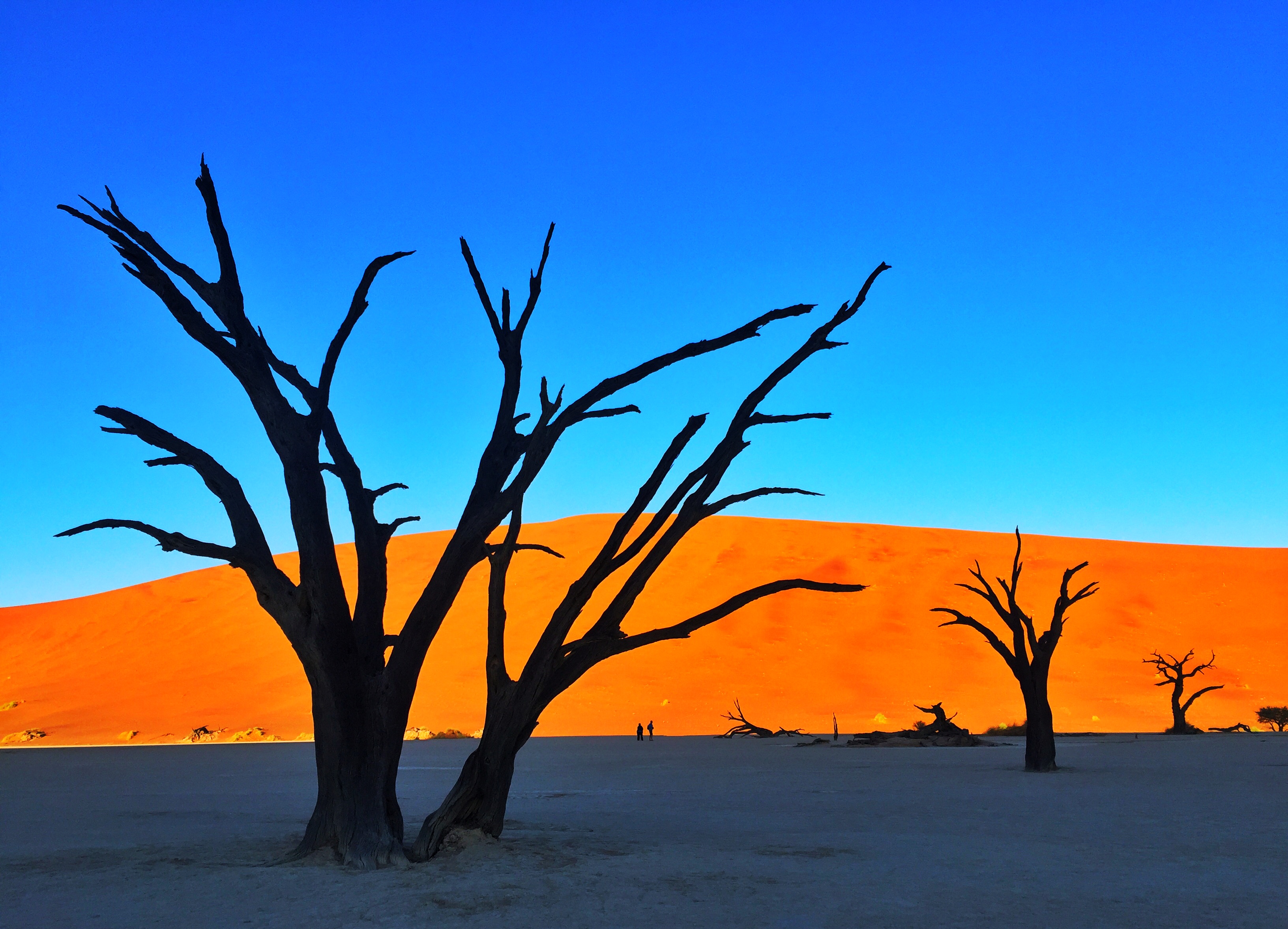 摄影艺术之美在于它的能力去捕捉时间的流逝(图2) 摄影培训_摄影_摄影摄像培训学校