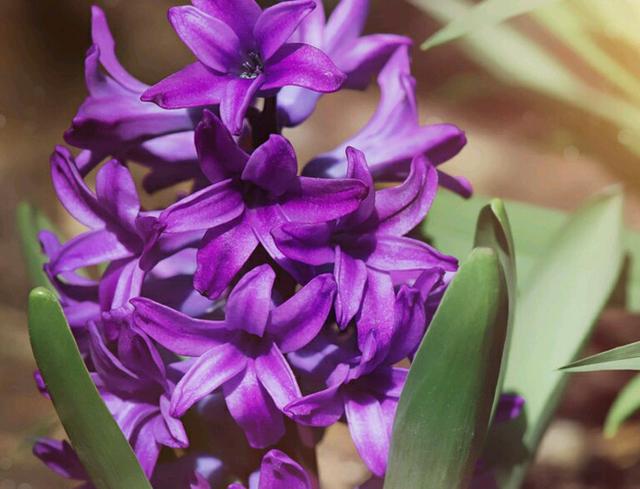 这几种组合在一起,哪怕一天不见,即如隔三秋(图3) 天秤座最佳配对星座_天蝎座最佳配对星座_星座配对