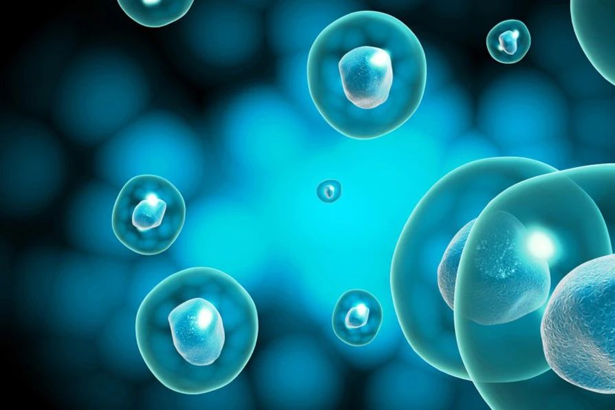 研究发现存在着同性恋基因对吗_研究发现的同义词_研究发现：