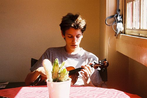 宠物美容有问题求教若雯和建雯要比其它的好点