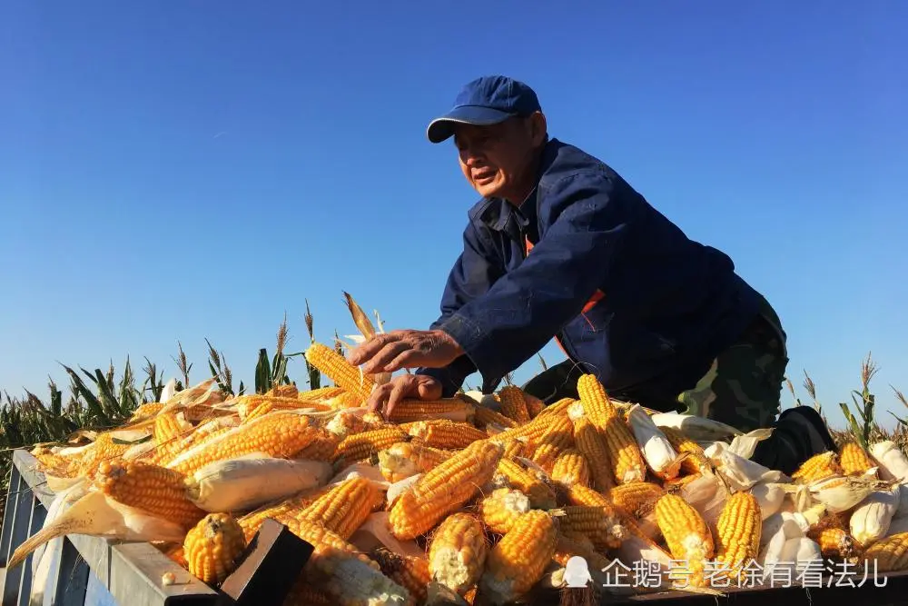 袁老怎么吹都不过分中国的粮食,到底应不应该自给自足?(图3) 惨烈车祸现场照片_惨烈是什么意思_惨烈