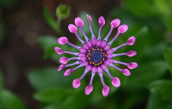 逆光拍人像是很漂亮的，你中枪了吗？