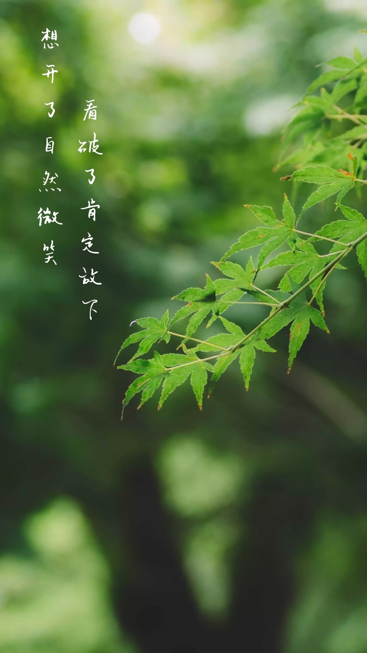 7句手机摄影口诀,拿起手机就能拍出生活美照!(图3) 摄影_摄影摄像培训学校_摄影培训