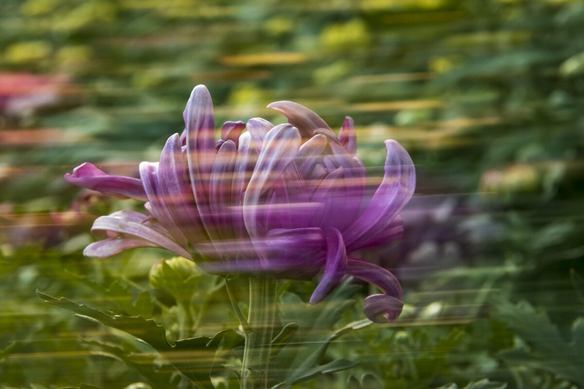 摄影培训_摄影_摄影摄像培训学校