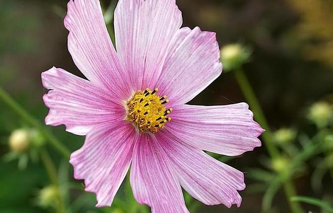 探秘剧中魔的存在：入魔与外表无关，一念之间的黑暗与光明