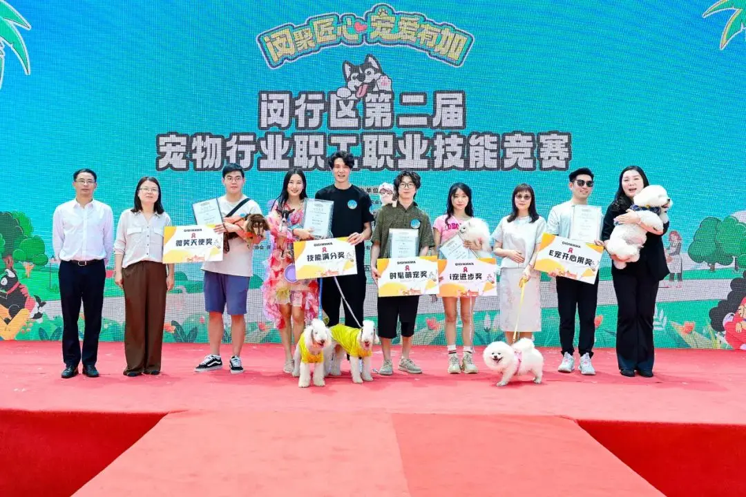 宠物美容_美容宠物师_美容宠物游戏