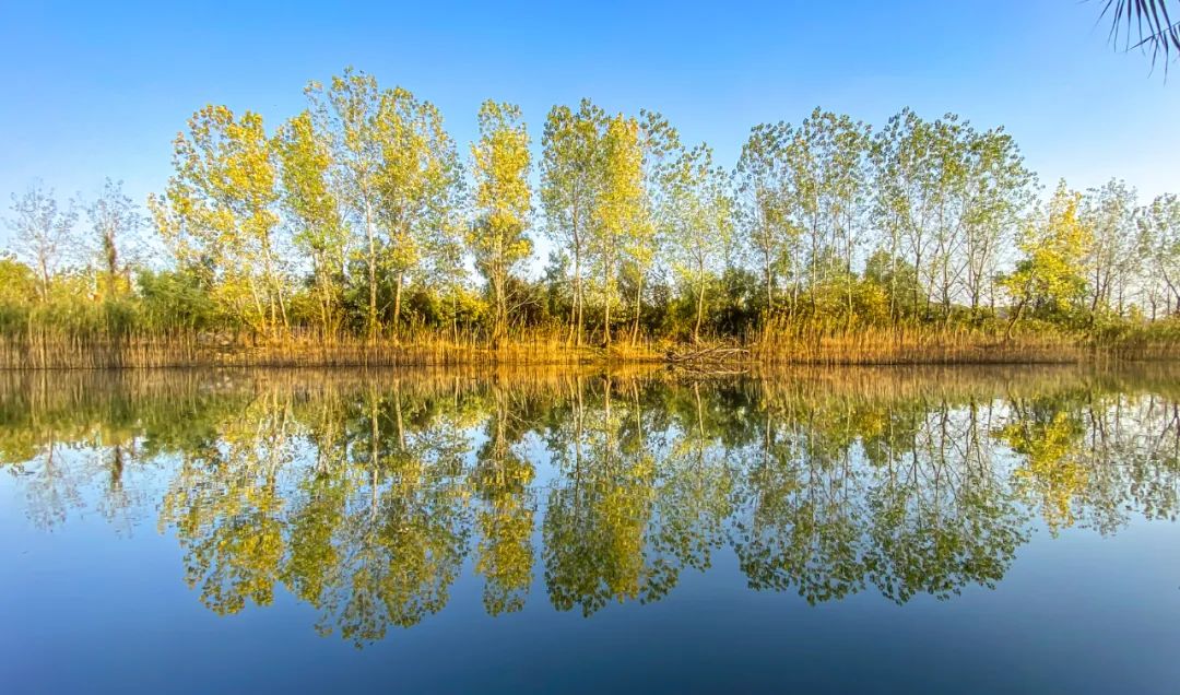 草坪_草坪围栏护栏_草坪喷头