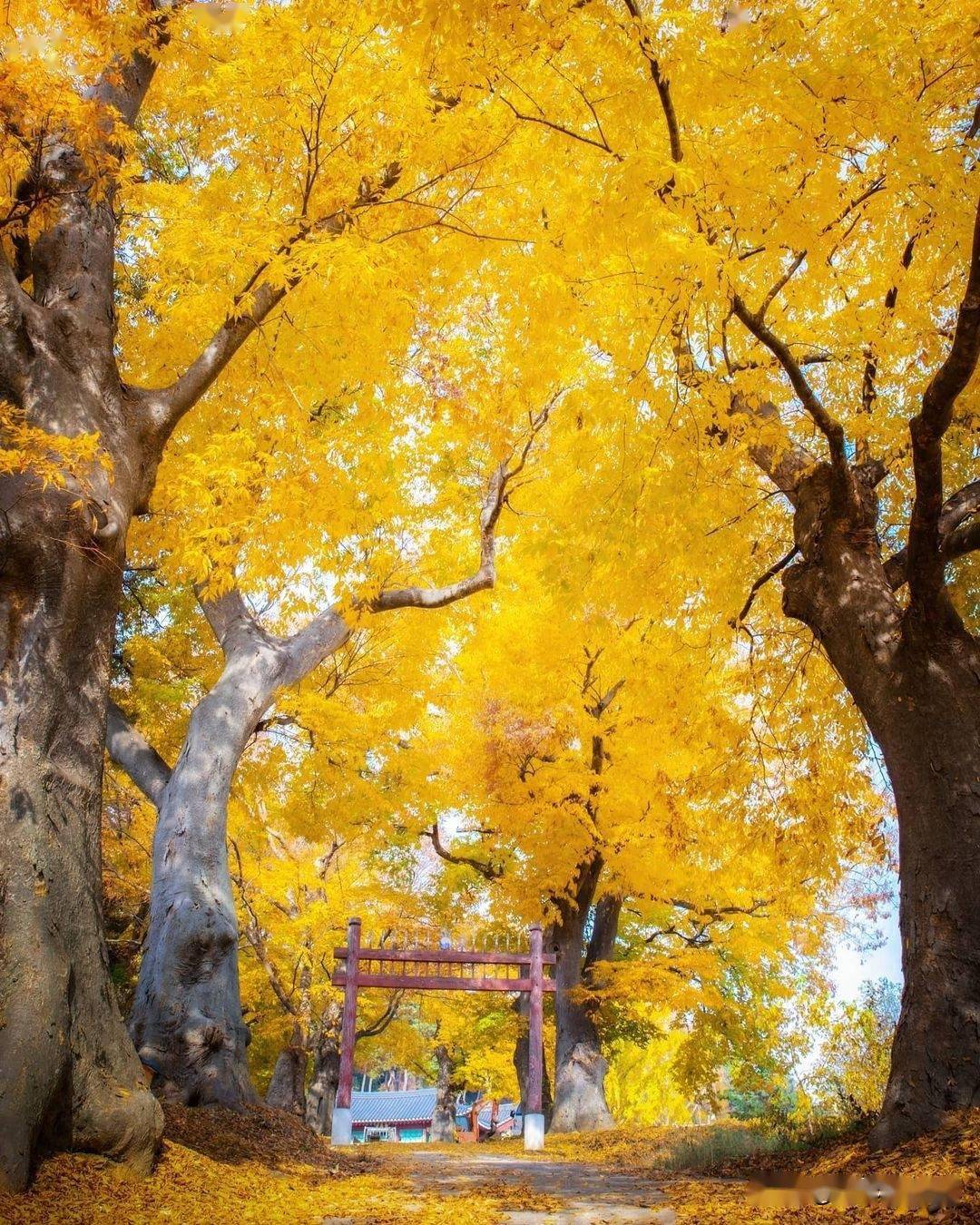 摄影摄像培训学校_摄影培训_摄影