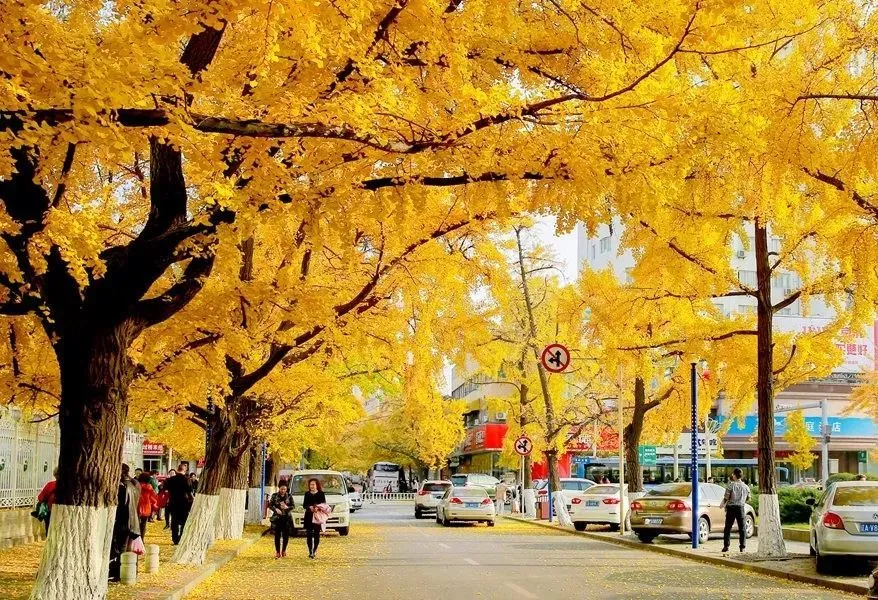 丹东_丹东天气_丹东新闻丹东五中