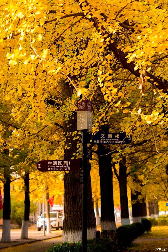 丹东新闻丹东五中_丹东天气_丹东