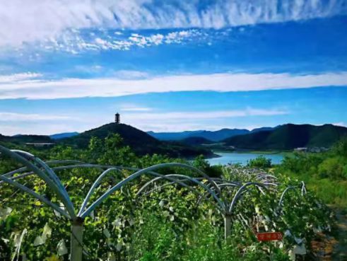 哈尔滨成 2024 年最先出圈旅游目的地，你去过吗？