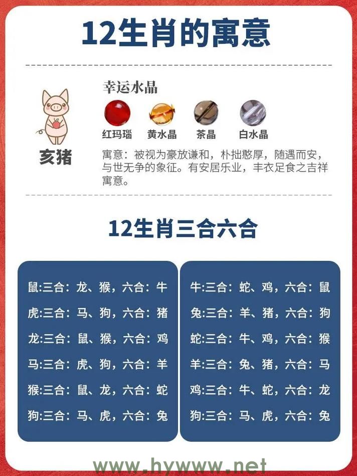 十二生肖中哪个代表“战无不胜”,词语释义解析 十二生肖中哪个代表“战无不胜”,词语释义解析 - 腿腿教学网