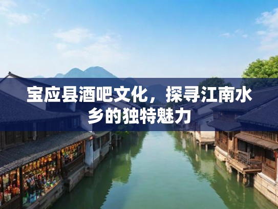 宝应县酒吧文化，探寻江南水乡的独特魅力