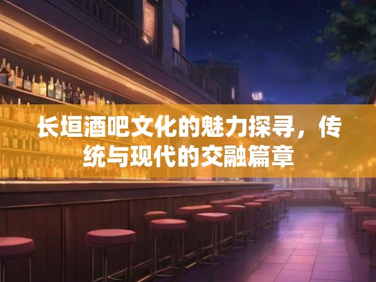 长垣酒吧文化的魅力探寻，传统与现代的交融篇章