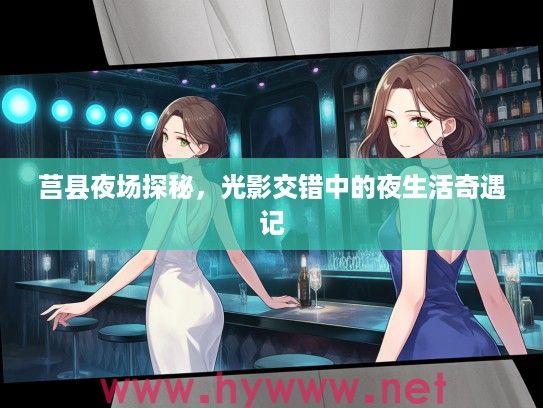 莒县夜场探秘，光影交错中的夜生活奇遇记