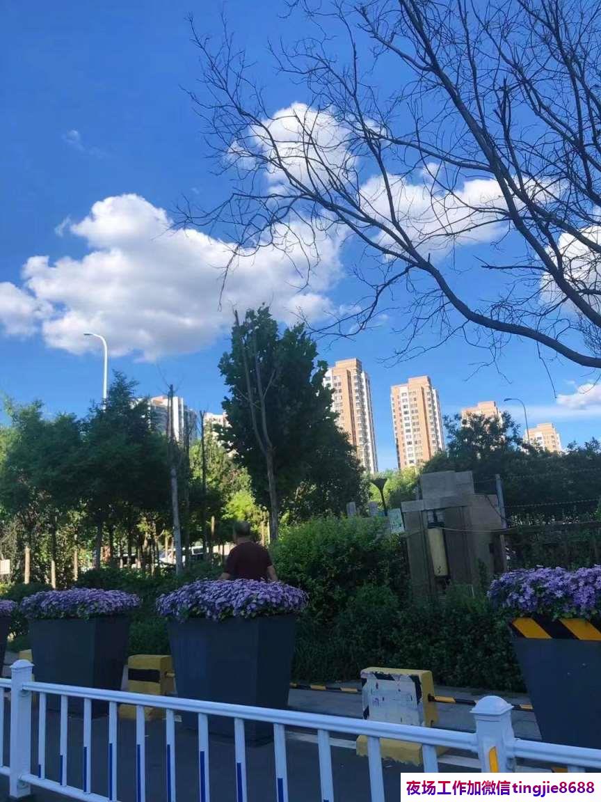 蚌埠固镇夜店招聘佳丽女模-蚌埠固镇酒吧夜店KTV直聘女孩特/不要兴奋醉倒不要怨天尤人