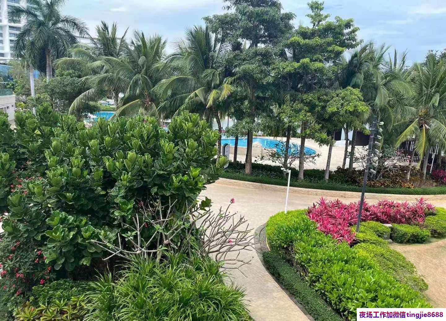 昌吉哪里酒吧招聘女孩佳丽——佩金带紫优秀人才,备受重用